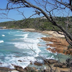 Sunshine Coast image