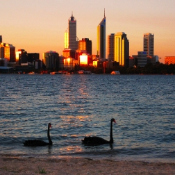 Swan WA image