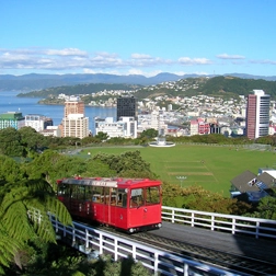 Wellington image