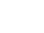 Fact icon