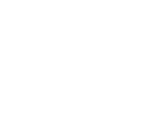 Fact icon