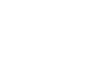 Fact icon