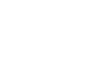 Fact icon