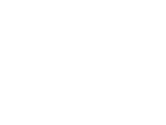 Fact icon