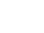 Fact icon