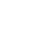 Fact icon