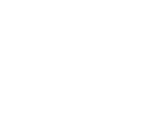 Fact icon