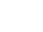Fact icon