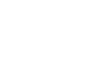 Fact icon